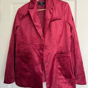 VICI - Bradley Velvet Blazer (Small)
